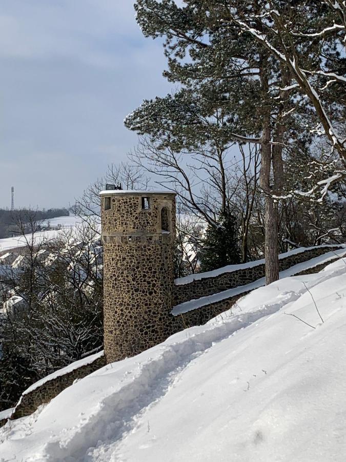 Wohlfuehl Appartments Felsberg Екстериор снимка